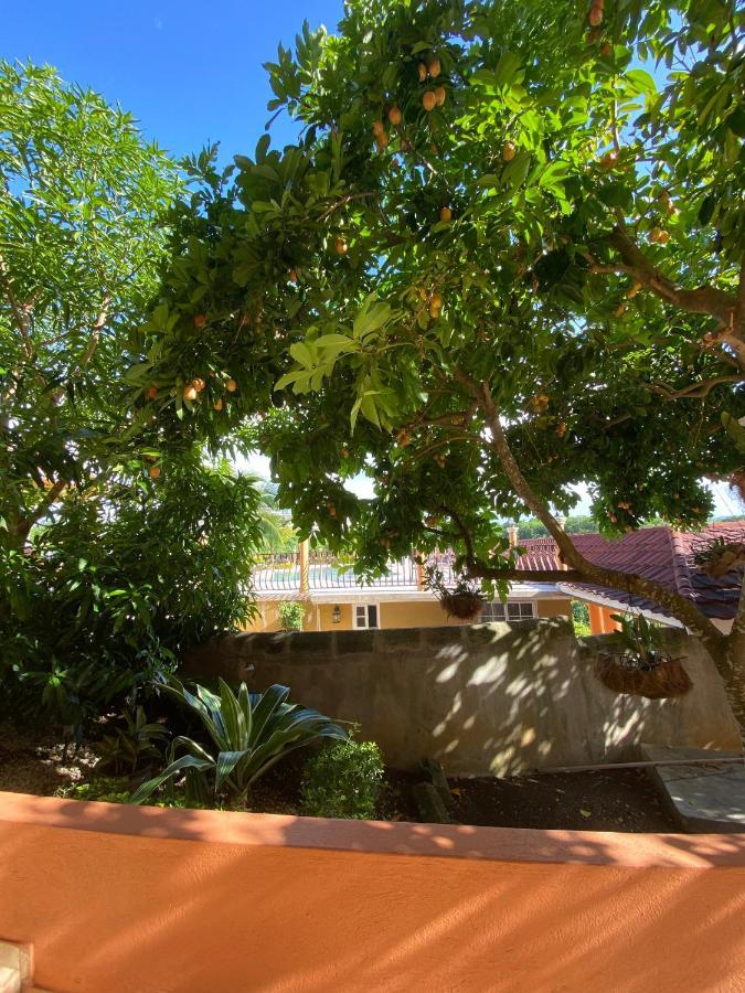 Mobay Vacation Village Montego Bay Exterior foto